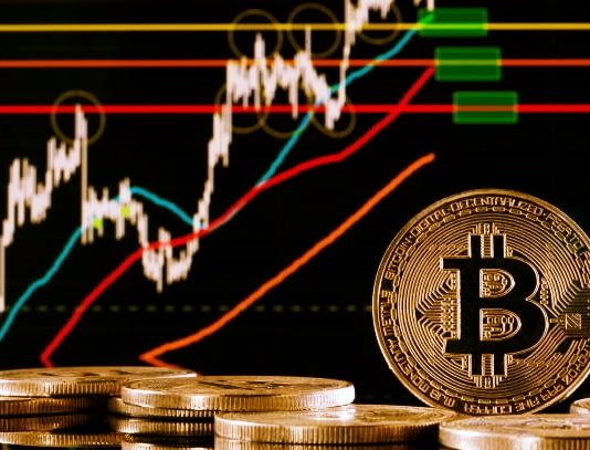 Learn How To Trade Cryptocurrencies Like a Pro Bitcoin Cryptocurrency