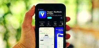 Why is Crypto Falling? The Explainer Crpto falling