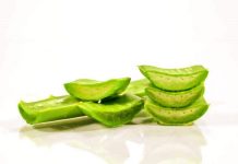 Aloe vera: The magical plant Aloe vera uses